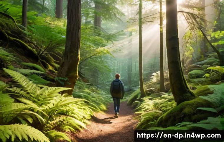 생태 지혜와 개인의 삶의 질 향상 - **Prompt:** A serene, sun-dappled forest path during golden hour. A person, appearing calm and conte...